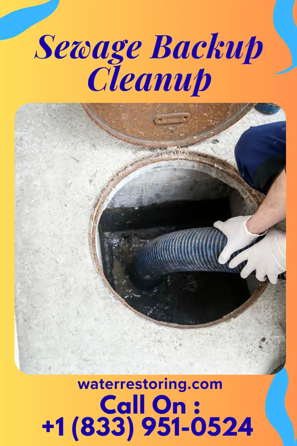 Sewage Backup Cleanup in Tazewell, TN